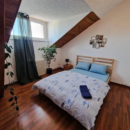 Nice Room 4 Minutes From Basel Shared Apartment-3