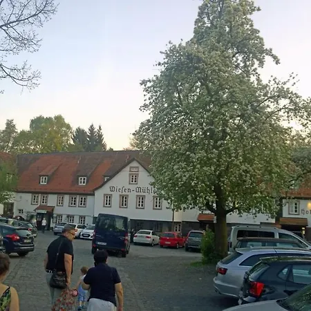 Hotel Brauhaus Wiesenmühle-2