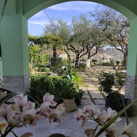 B&B Elfo degli Ulivi-2