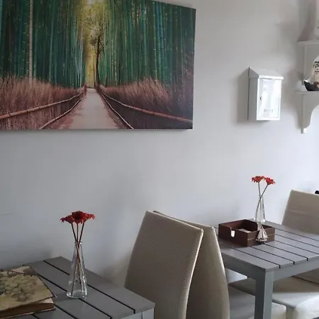 Guest House Antero De Quental-3