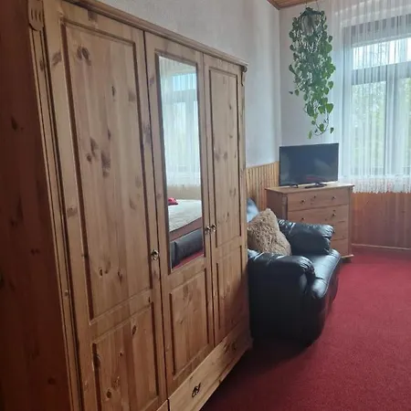 Pension Zur Elbe-3