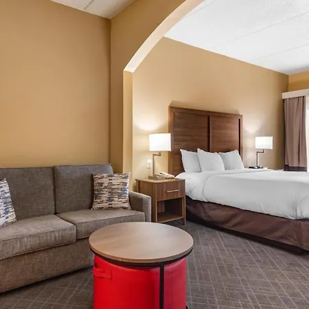Comfort Inn & Suites At Stone Mountain-2