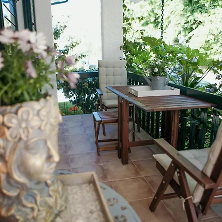 Flowers & Faces Guesthouse-2