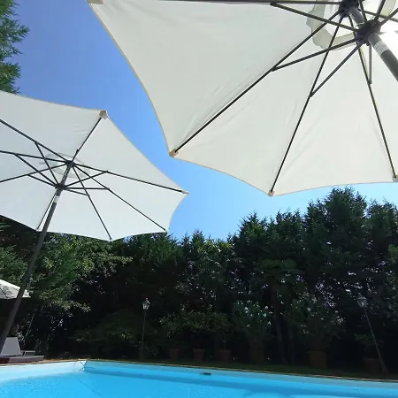 B&B Villa delle palme-3