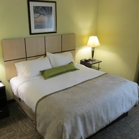 Candlewood Suites Greenville By Ihg-3