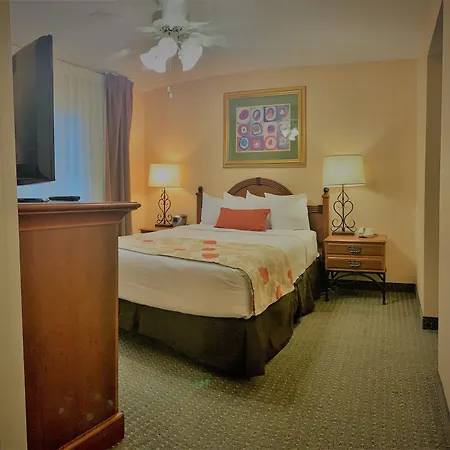 Sonesta Es Suites Dallas Park Central-2