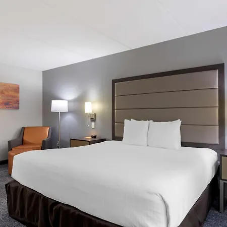 Best Western Plus Mcallen Airport Hotel-3