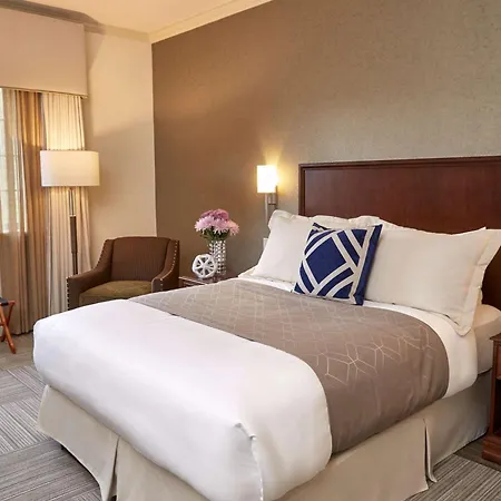 Rizzo Center, A Destination By Hyatt Hotel-3