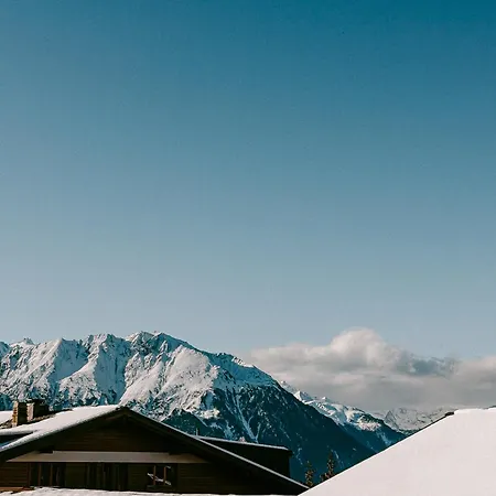 Experimental Chalet Verbier-3