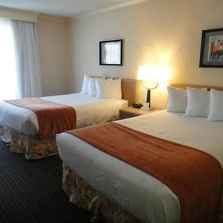 Los Prados Hotel-3