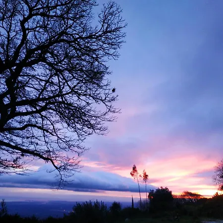 Montalma-3