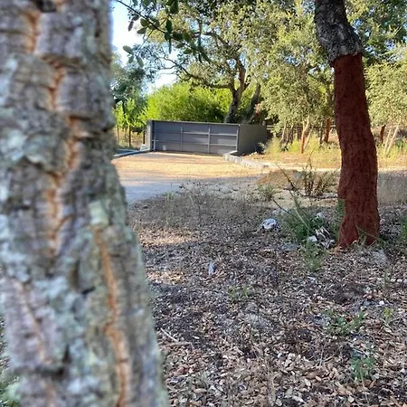 Suite Do Meco, Refugio No Meio Da Natureza-2