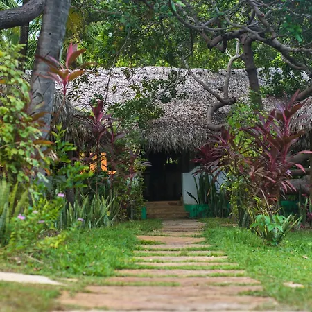 Ciamat Camp-3