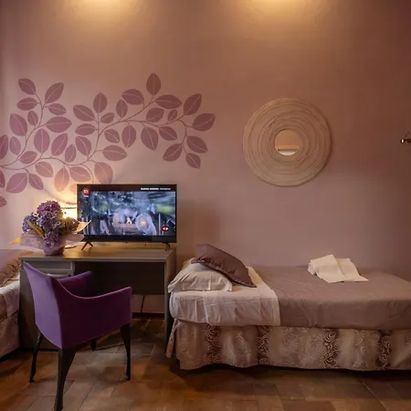 Hotel Palazzo Renieri - 3stelle S-2