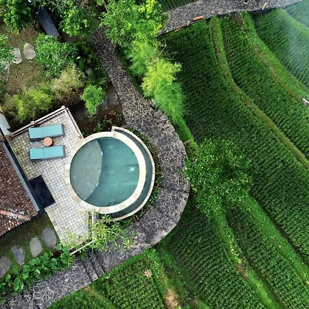 Abian Ayu Villa-3