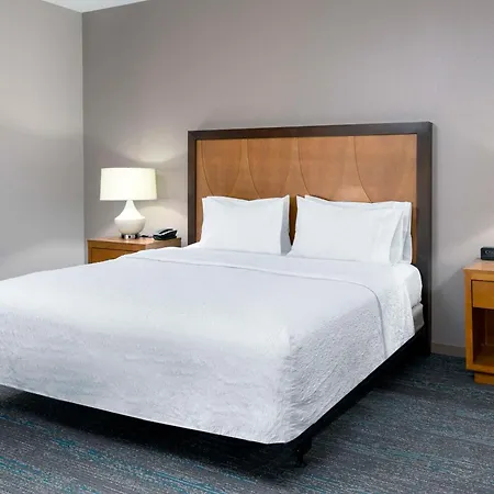 Hampton Inn And Suites Clayton/St. Louis-Galleria Area-2