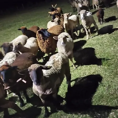 Pousada do Pampa-2