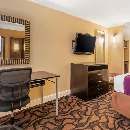 Best Western Plus Airport Plaza-2