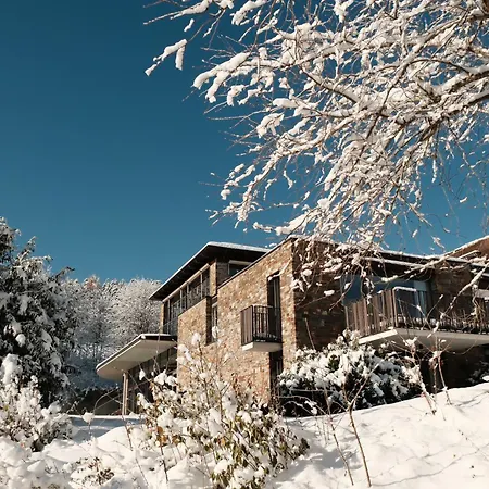 Hotel Lauterbad-2