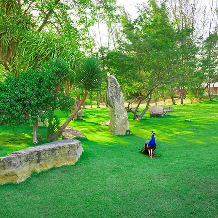 Thermas Hotel Mossoró-2