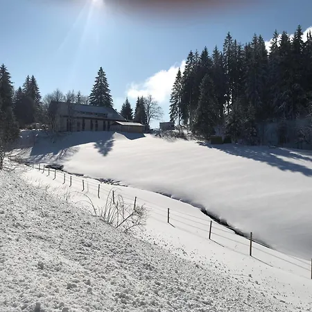 Waldhotel Auerhahn Hochkopfhaus-3