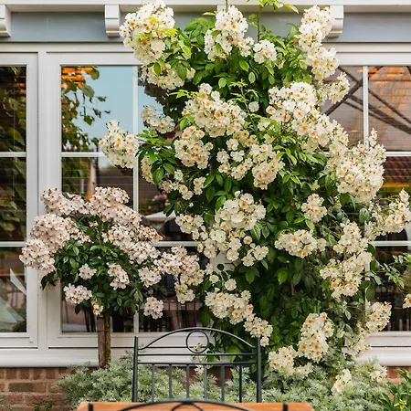 De Lindenhoeve Lodge-3