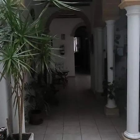Hostal Fenix-3