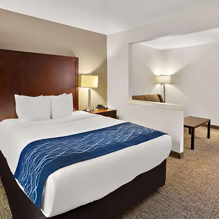 Comfort Inn Lacey - Olympia-2