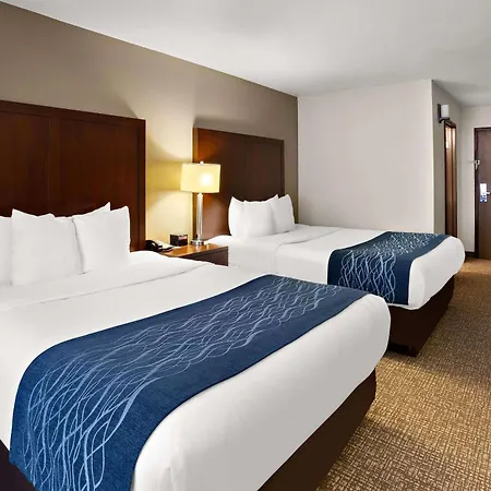 Comfort Inn Lacey - Olympia-3