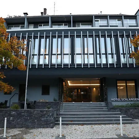 Hotel Schlangenbader Hof-2