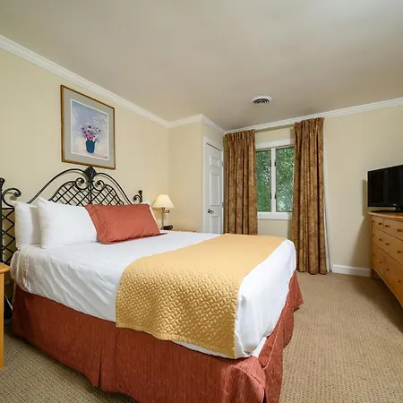 Stoweflake Mountain Resort & Spa-3