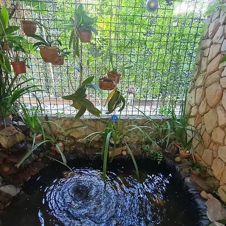 Pousada Palmeira Imperial-2