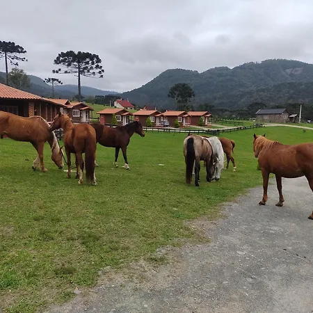 Sitio Rancho Crioulo-2