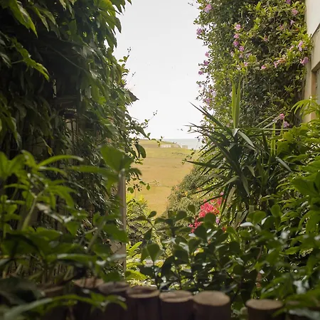 Orquidea Cafe-2