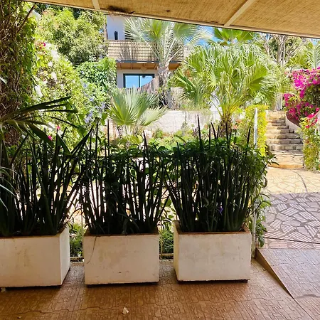 Le Jardin Exotique Hotel-2