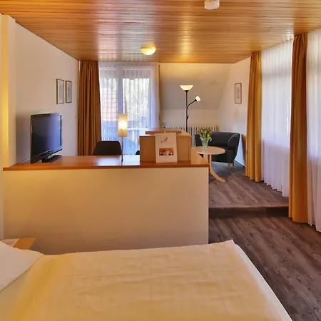Hotel Hirschen-3