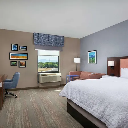 Hampton Inn Burley-3