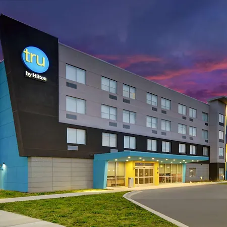 Tru By Hilton Gaylord, Mi-3