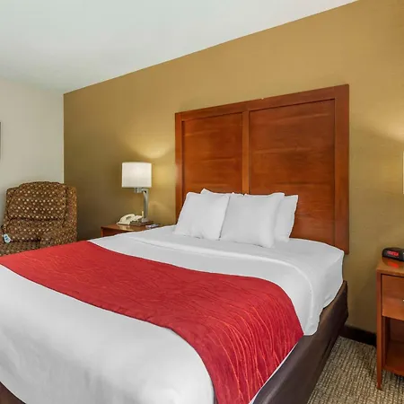 Comfort Inn & Suites Rapid City South - Mt Rushmore Gateway-2