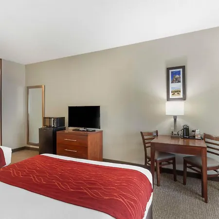 Comfort Inn & Suites Rapid City South - Mt Rushmore Gateway-3