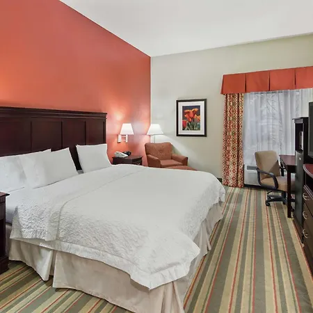 Hampton Inn Richmond-Sw Hull Street-3