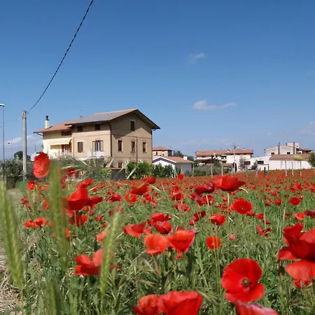 Bed & Breakfast Ciancaleoni-3