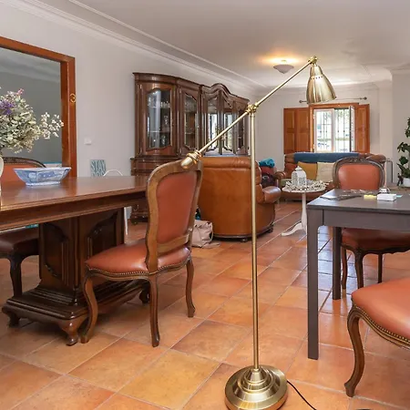 Galo Preto - Sintra Guesthouse-2