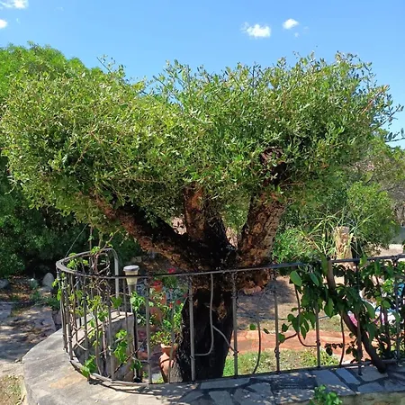I Mari Di Gallura Suites And Rooms-2