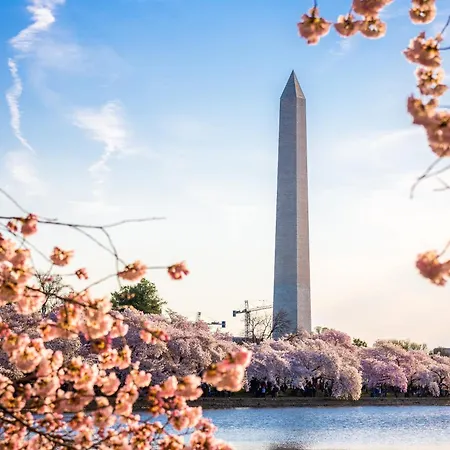 Staybridge Suites Washington D.C. - Greenbelt By Ihg-3