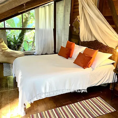 Jungle Lodge-3