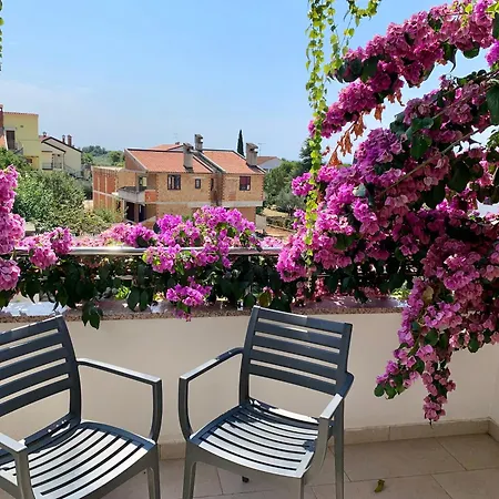 Gargamelo Pension-2