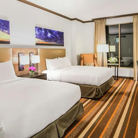 Hilton Dallas-Park Cities-3