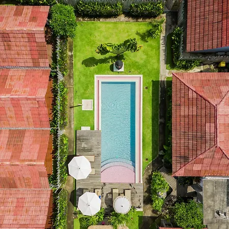United Colors Of Bali-3