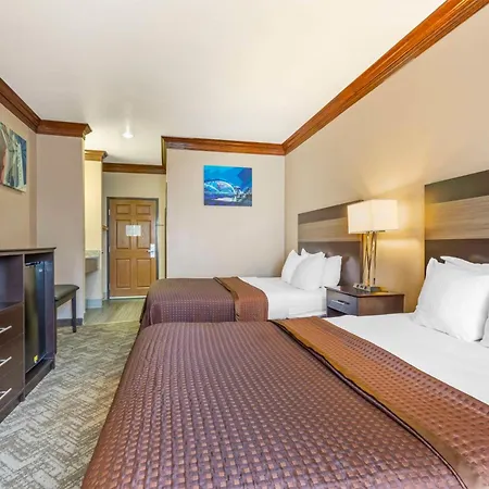 Best Western Fort Worth Inn & Suites-2
